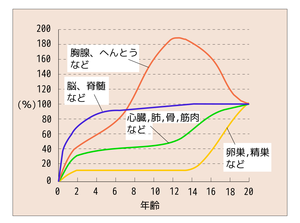 スキャモンの発育発達曲線